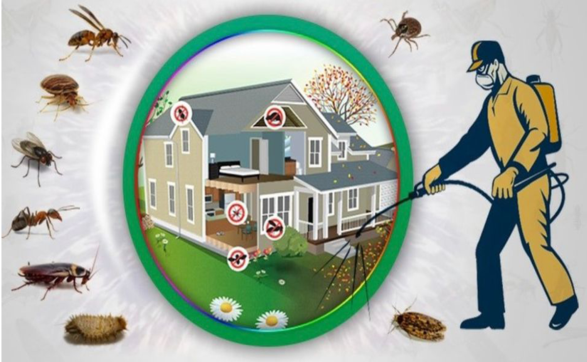 Sancaktepe Böcek İlaçlama | 0552 730 34 30